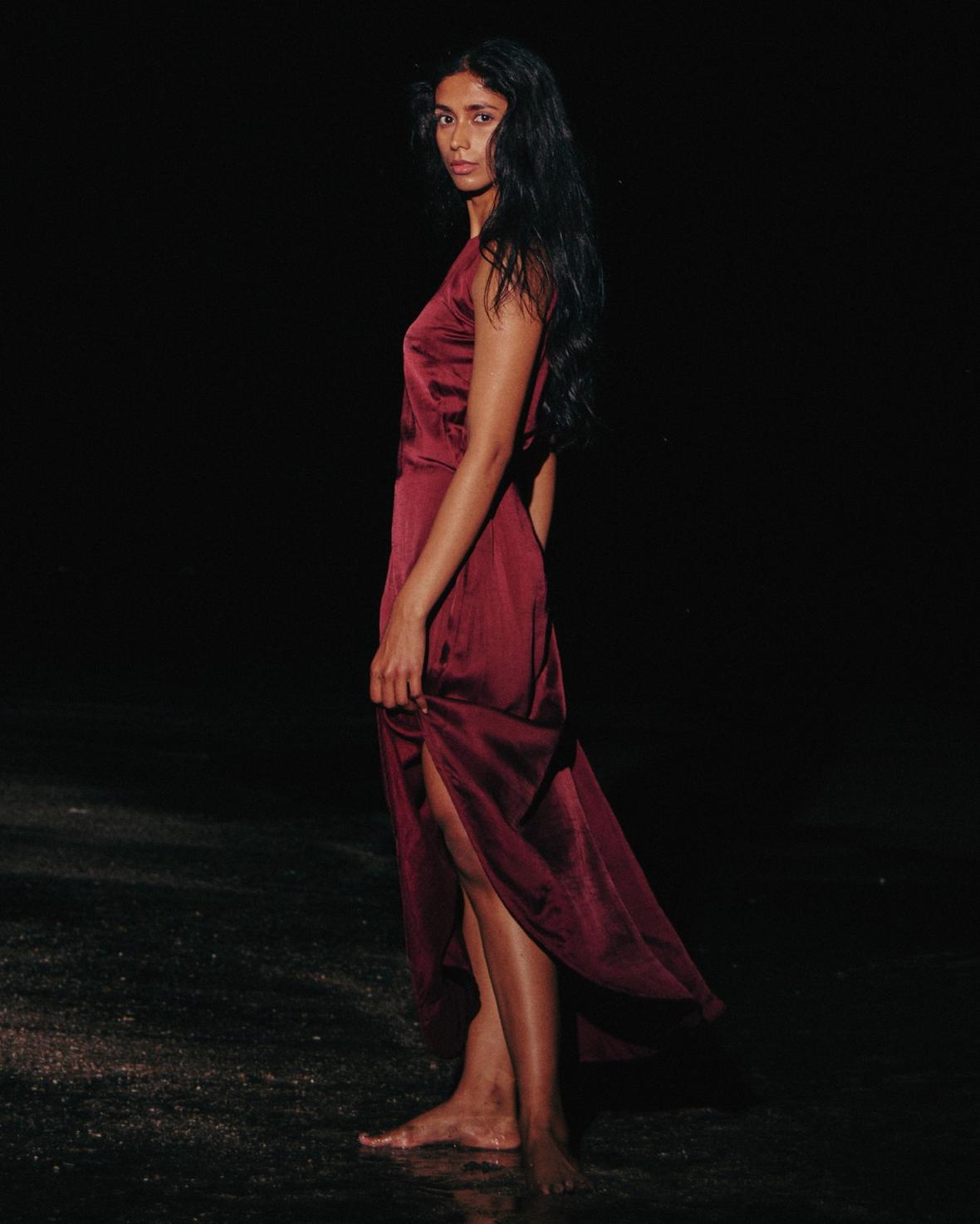 Shayla Dress