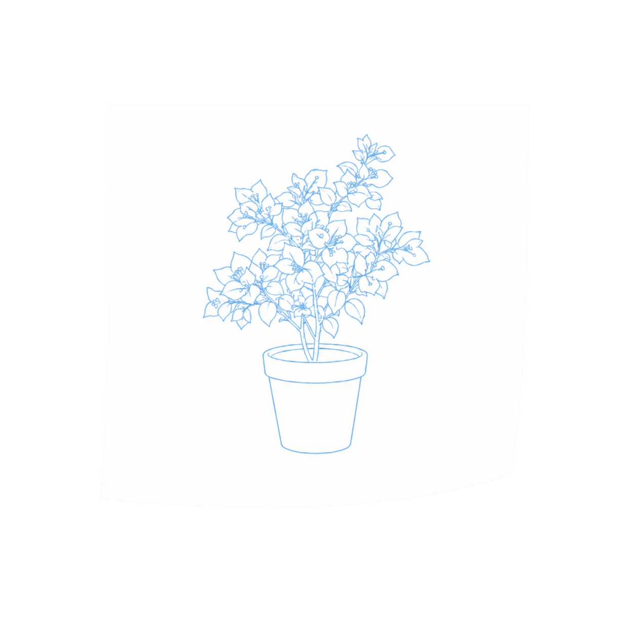 Blue line drawing of a potted bougainvillea